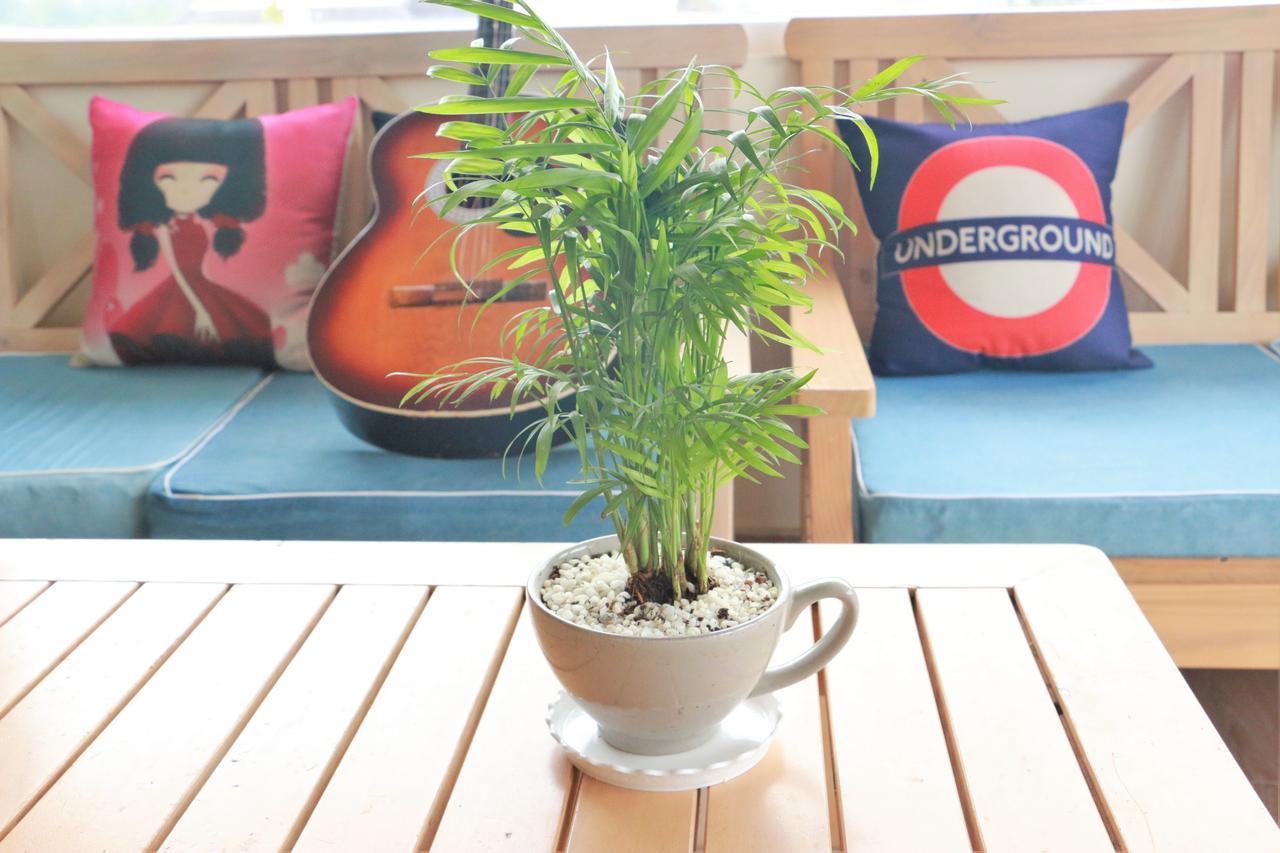 Dalat Eco Home Zewnętrze zdjęcie